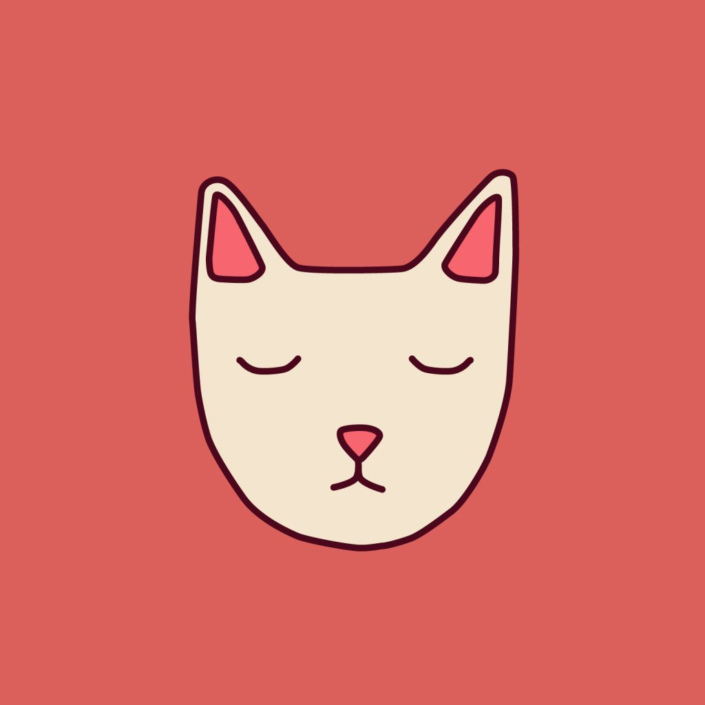 obsession cat feature image